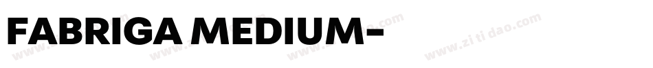 FABRIGA MEDIUM字体转换